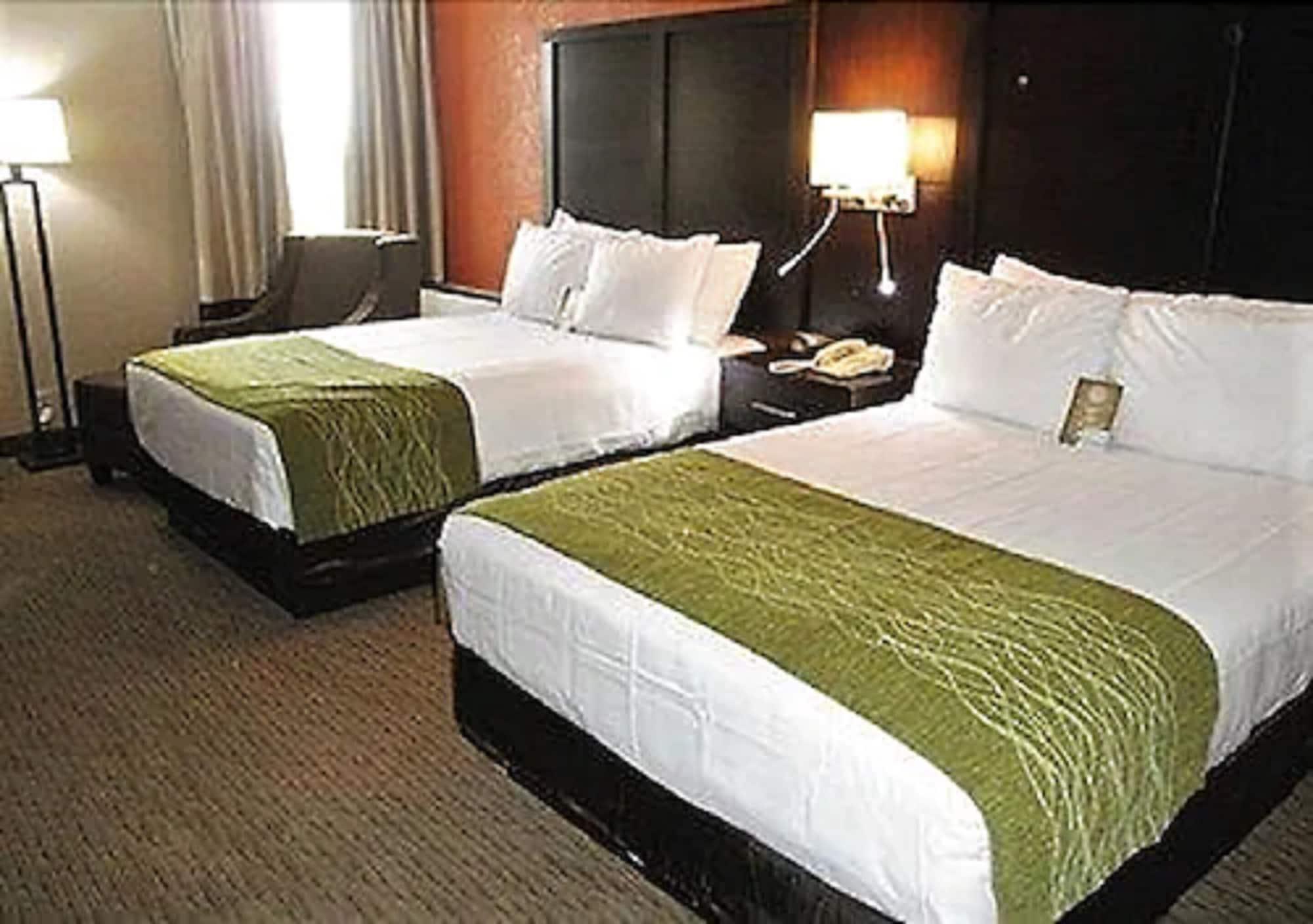 Comfort & Airport Hotel 3*